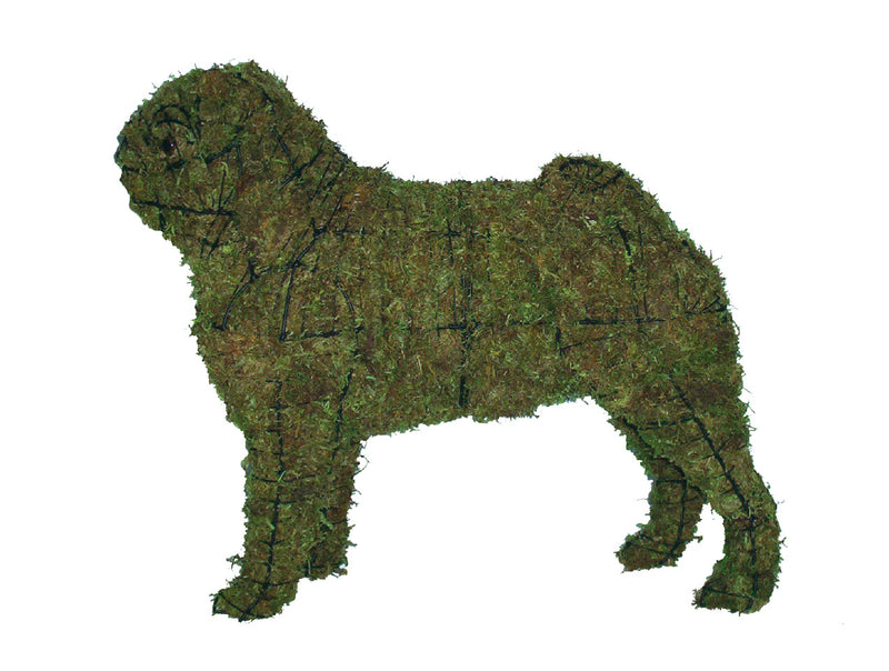 Pug steel topiary frame filled with green dyed sphagnum moss - Henderson Garden Supply