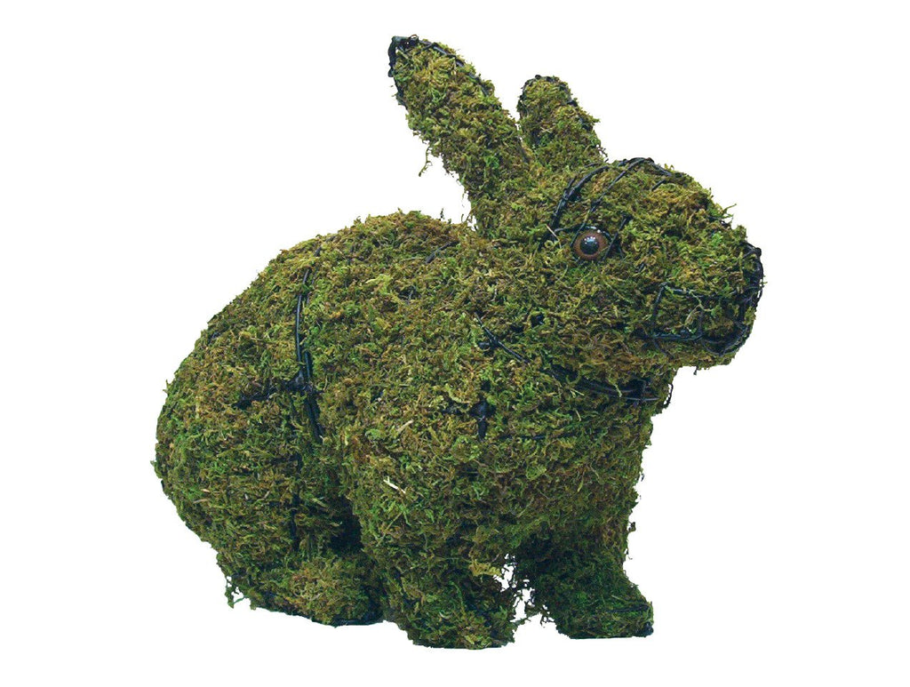 Hopping Rabbit 17