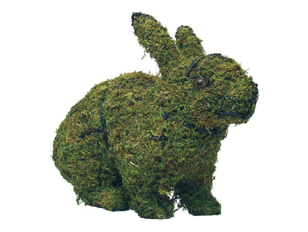 Hopping Rabbit topiary frame filled with green dyed sphagnum moss - Henderson Garden Supply