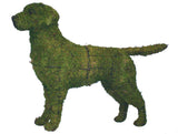 Labrador Retriever steel topiary frame filled with green dyed sphagnum moss - Henderson Garden Supply