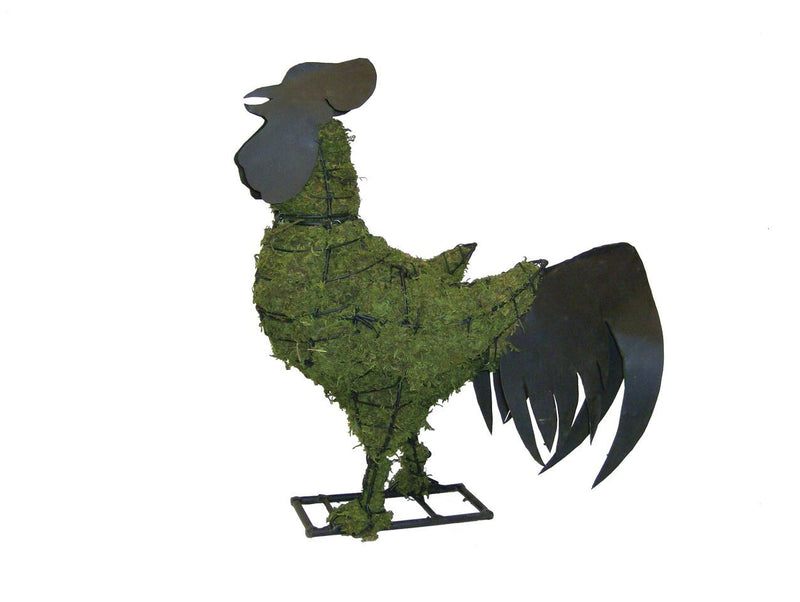 Rooster steel topiary frame filled with green dyed sphagnum moss - Henderson Garden Supply