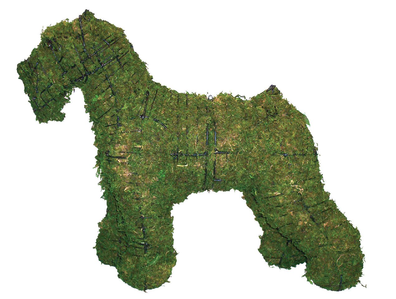 Schnauzer 24" Topiary Sculpture - Thumbnail 2