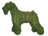 Schnauzer steel topiary frame filled with green dyed sphagnum moss - Henderson Garden Supply