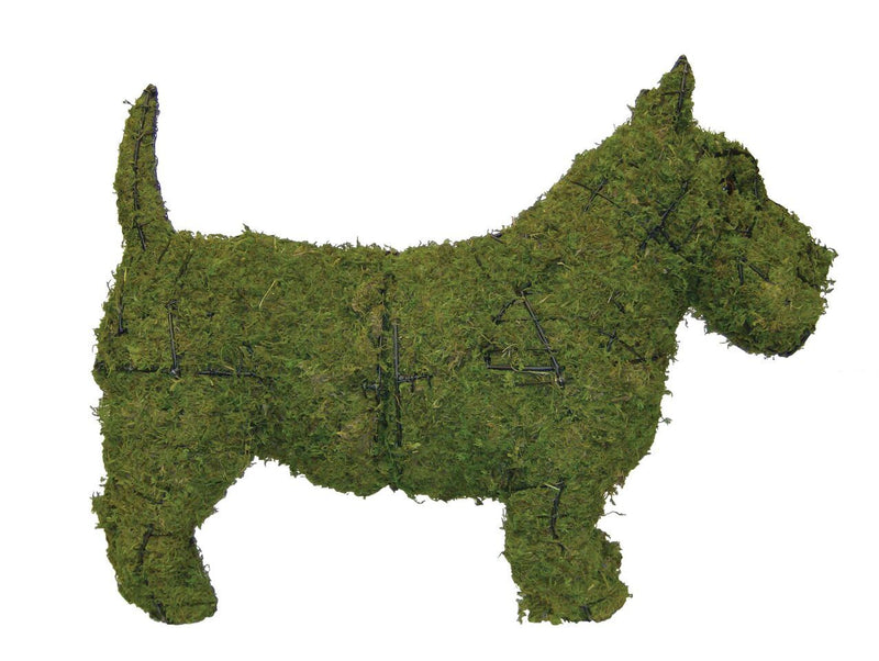 Scottie steel topiary frame filled with green dyed sphagnum moss - Henderson Garden Supply