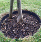 Everedge Garden Tree Rings Pre Rolled Slate Powdercoated - Henderson Garden Supply