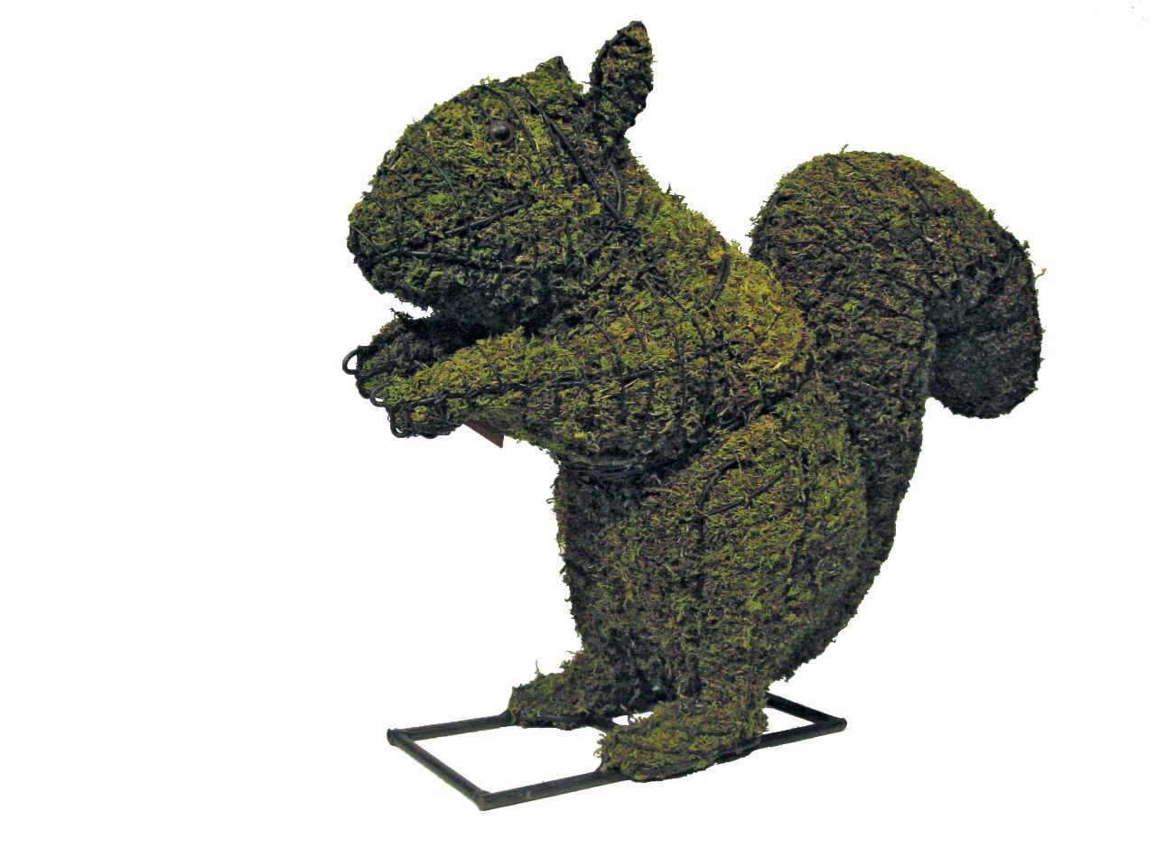 Squirrel steel topiary frame filled with green dyed sphagnum moss - Henderson Garden Supply