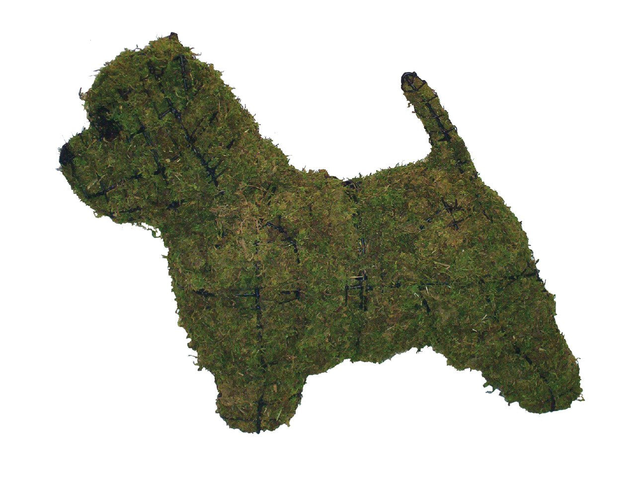 Westie steel topiary frame filled with green dyed sphagnum moss - Henderson Garden Supply