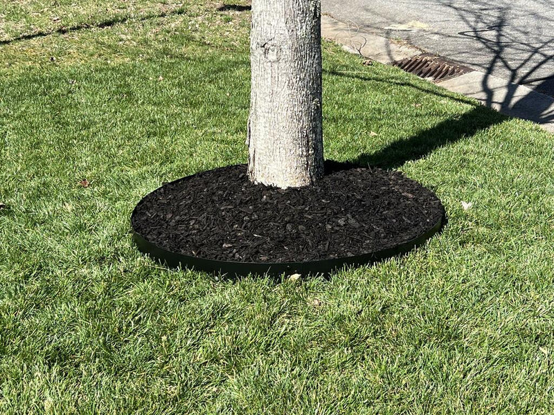 Core Pre-Rolled Steel Garden Tree Rings Black