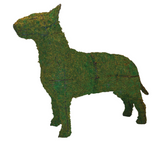 Bull Terrier Rust Free Steel Topiary Frame filled with Green Dyed Sphagnum Moss - Henderson Garden Supply