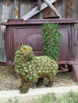 Cat walking topiary frame shown planted with succulents - Henderson Garden Supply