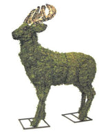 Deer steel topiary frame filled with sphagnum moss - Henderson Garden Supply