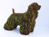 Cocker Spaniel Topiary Frame with the beginnings of ivy grown over the moss - Henderson Garden Supply