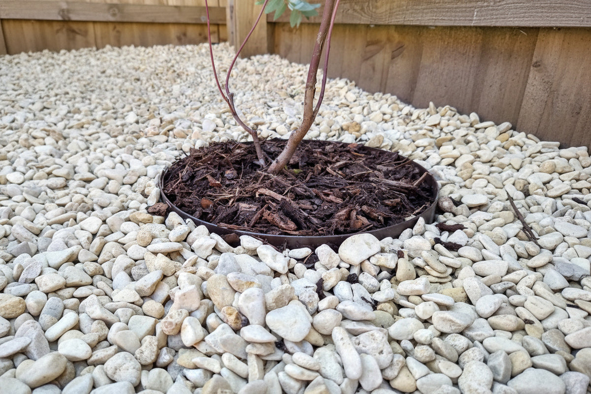 Stone Look Tree Rings Metal Tree Rings | Core Tree Rings | Henderson Garden Supply