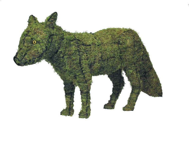 Fox topiary frame filled with green dyed sphagnum moss - Henderson Garden Supply
