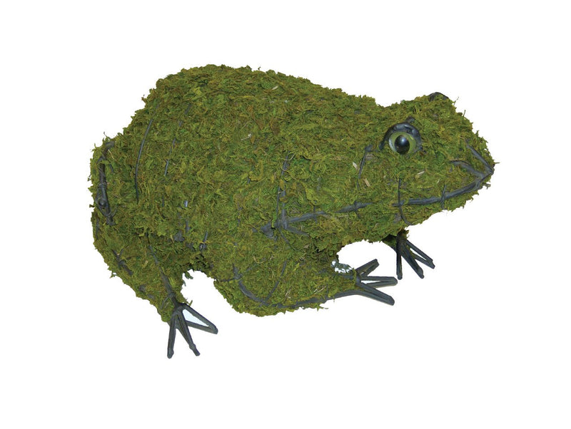 Frog Topiary Frame filled with green dyed Sphagnum moss - Henderson Garden Supply