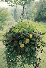 Heavy duty 25" hanging basket and coco fiber liner - Henderson Garden Supply