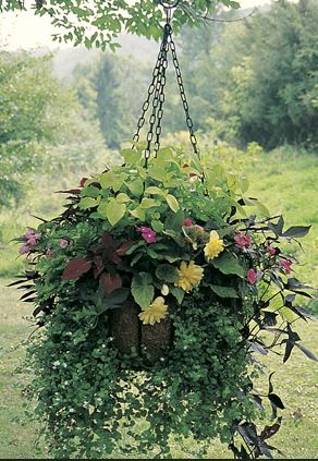 Heavy duty 20.5" hanging basket and coco fiber liner - Henderson Garden Supply