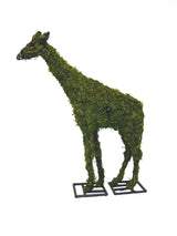 Giraffe topiary frame filled with green dyed sphagnum moss - Henderson Garden Supply
