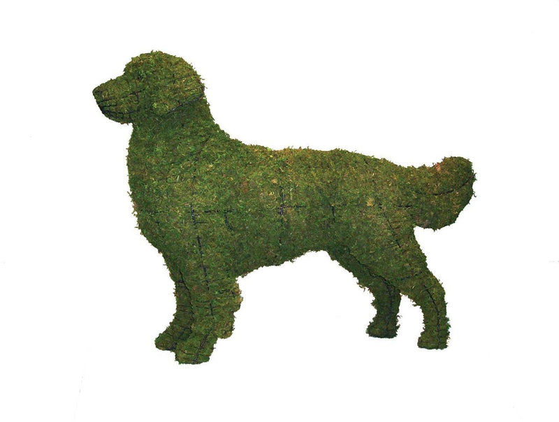 Golden Retriever topiary frame filled with green dyed sphagnum moss - Henderson Garden Supply