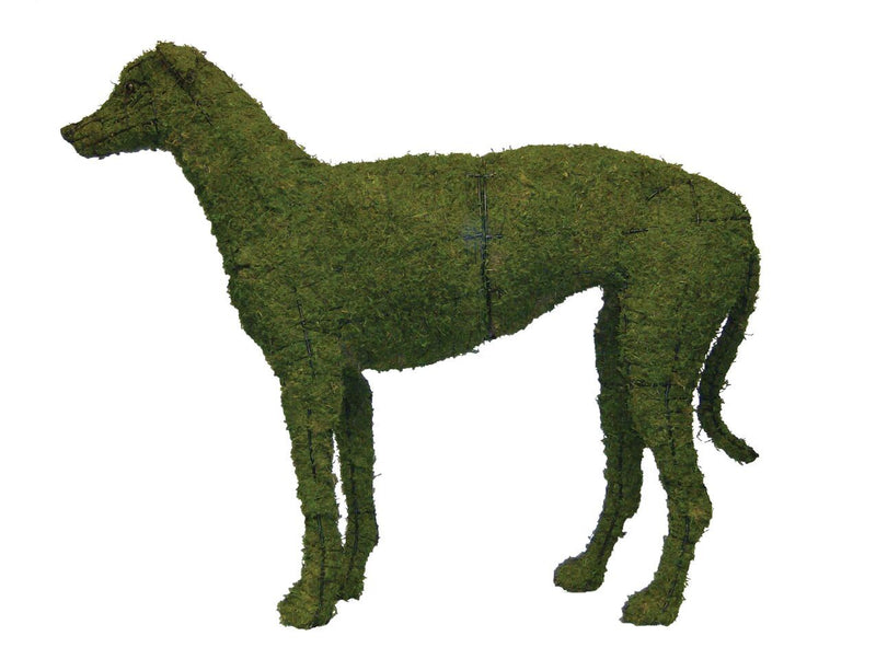 Greyhound topiary frame filled with green dyed sphagnum moss - Henderson Supply