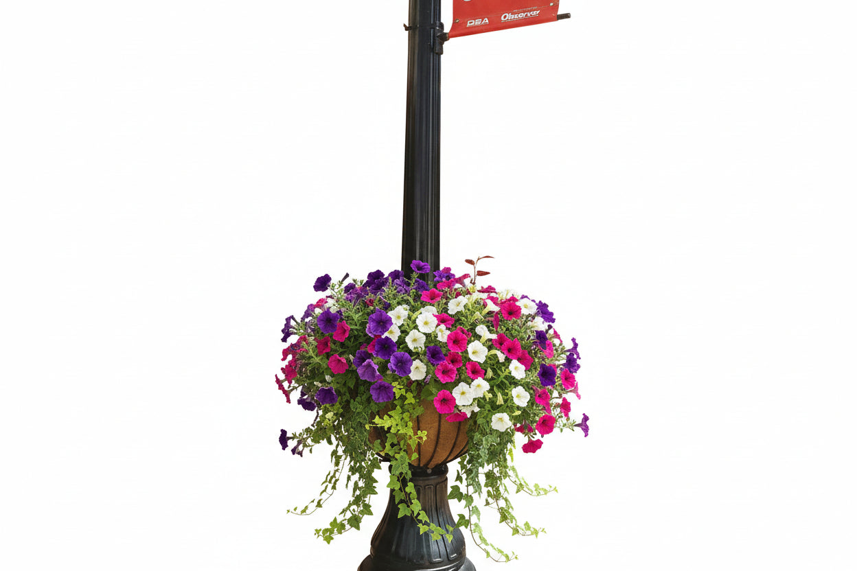 25" lamppost hayrack with coco fiber liners for city street lights - Henderson Garden Supply