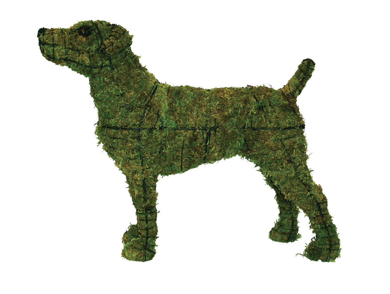 Jack Russell 22" Topiary Sculpture - Thumbnail 2