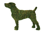 Jack Russell steel topiary frame filled with green dyed sphagnum moss - Henderson Garden Supply
