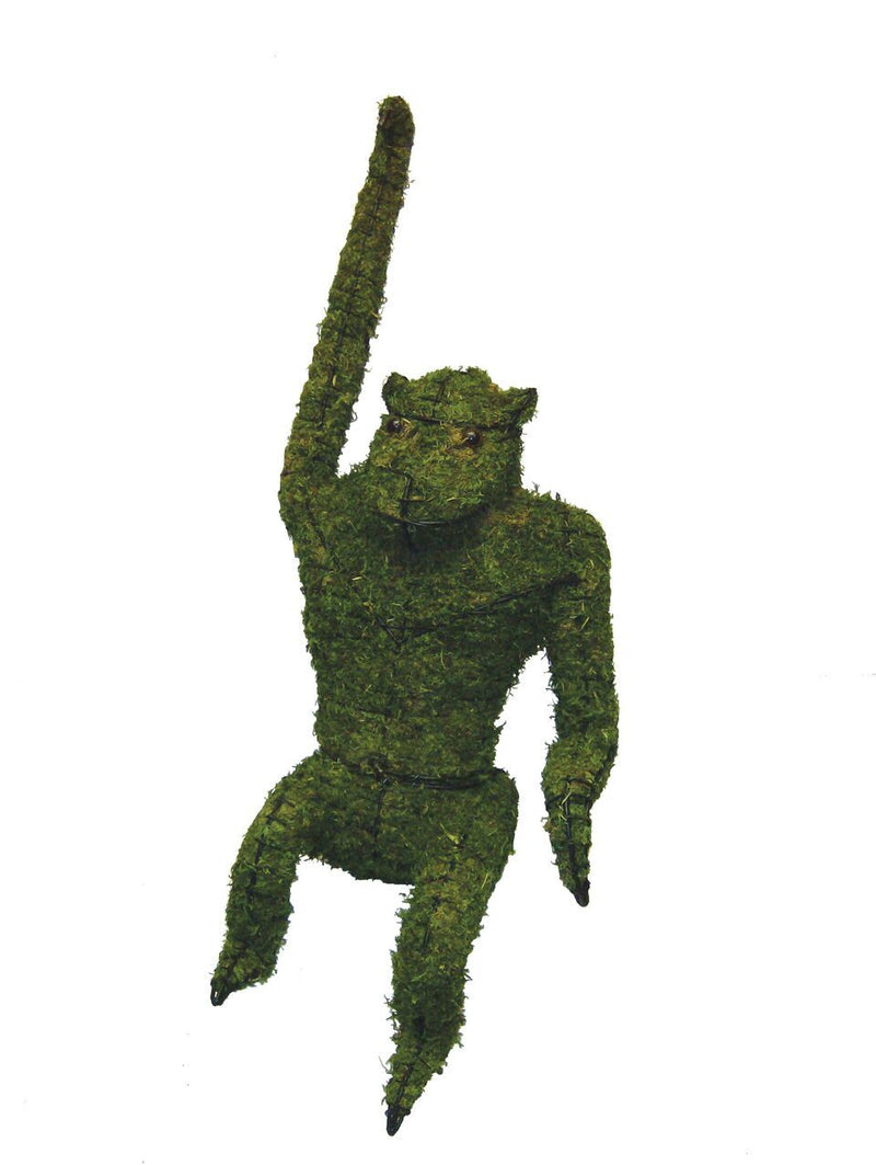Hanging Monkey topiary frame filled with green dyed sphagnum moss - Henderson Garden Supply