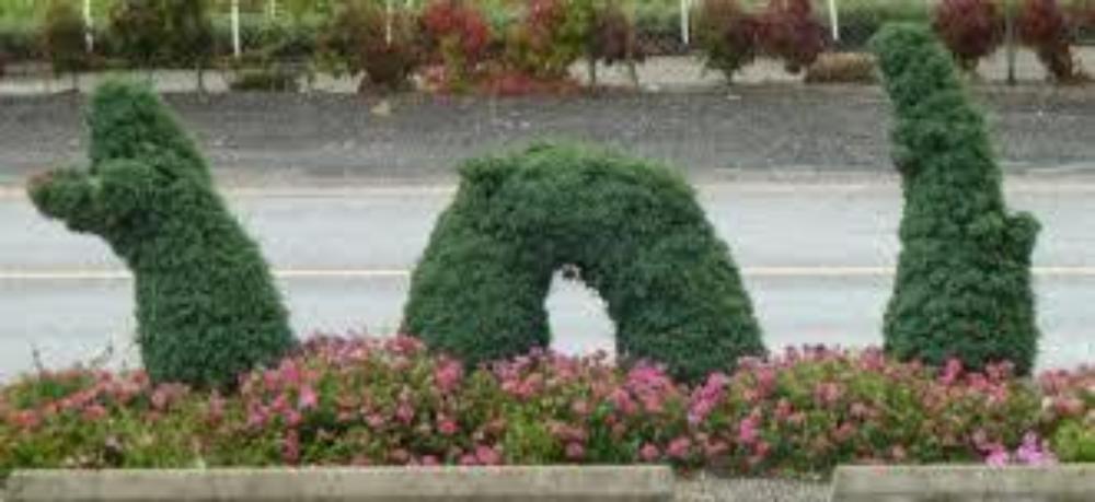 Nessie Lock Ness Monster steel topiary frame filled with green dyed sphagnum moss - Henderson Garden Supply