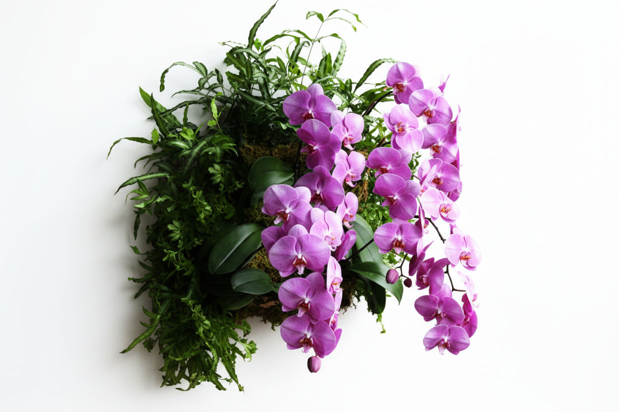 Pamela Crawford Living Wall Planter - Henderson Garden Supply