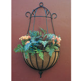 Peacock Wall Planter in 16" and 22" diameter - Henderson Garden Supply