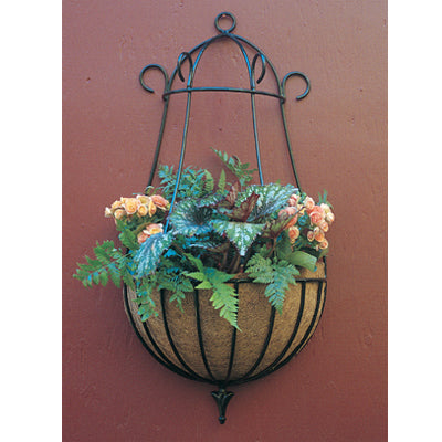 Peacock Wall Planter in 16" and 22" diameter - Henderson Garden Supply