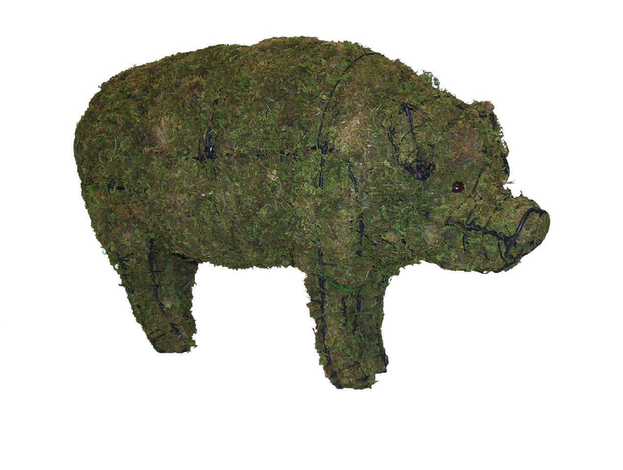 Pig steel topiary frame filled with green dyed sphagnum moss - Henderson Garden Supply