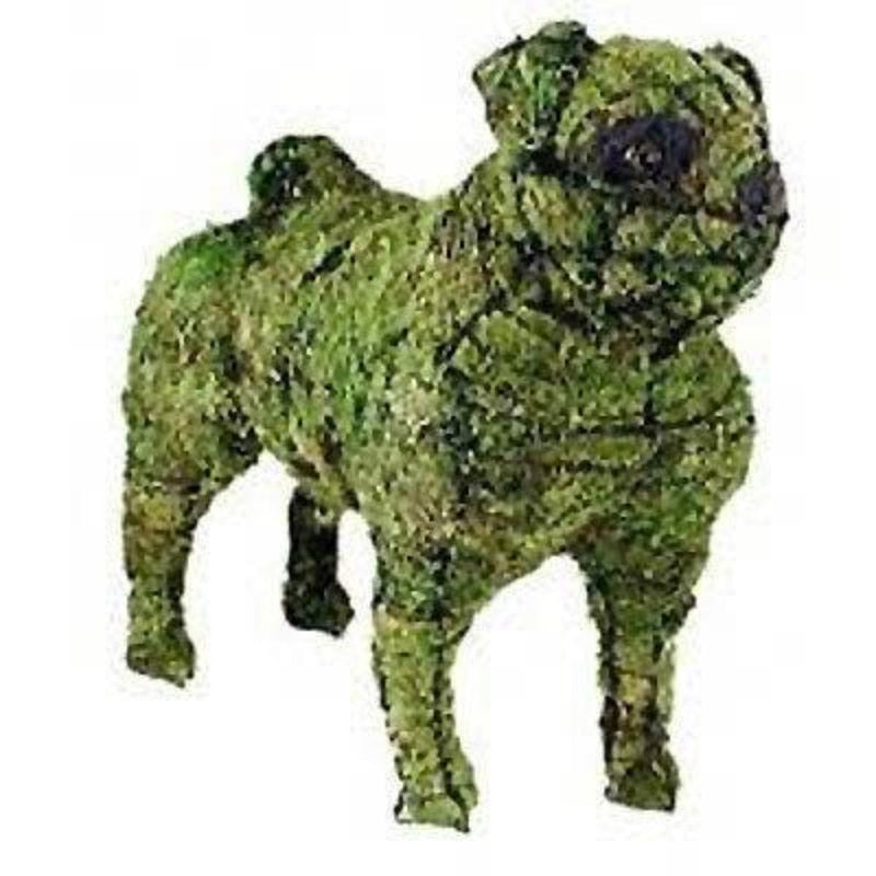 Pug steel topiary frame filled with green dyed sphagnum moss - Henderson Garden Supply