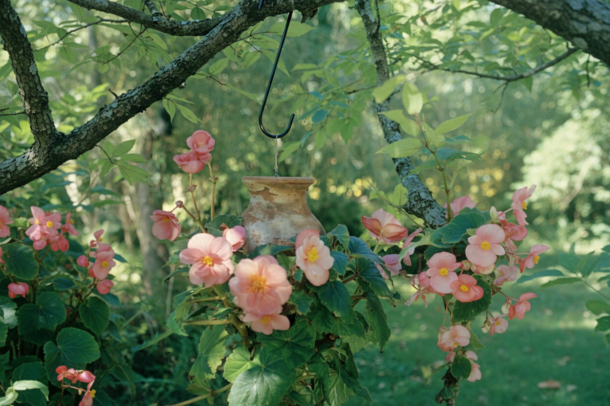 Black matte finish S Hooks in multiple sizes - Henderson Garden Supply