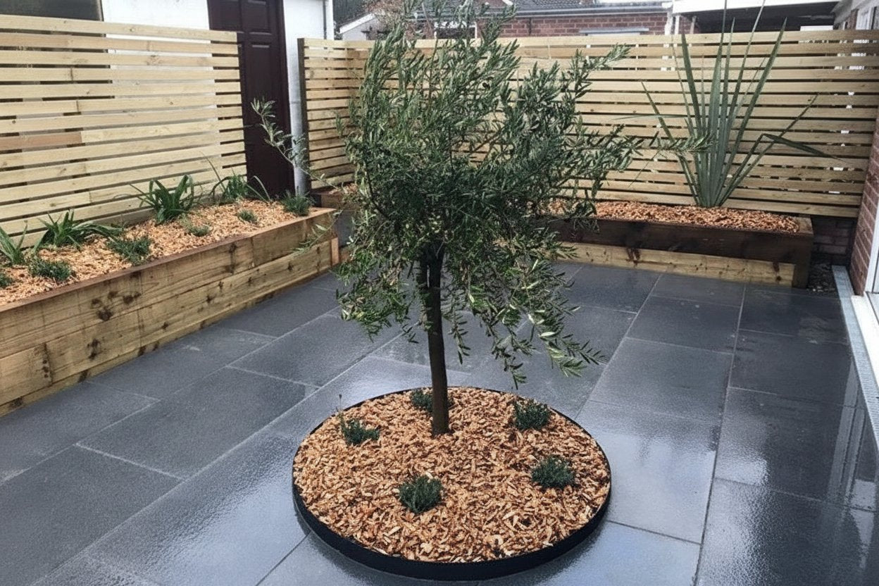 Everedge Garden Tree Rings Pre Rolled Slate Powdercoated - Henderson Garden Supply