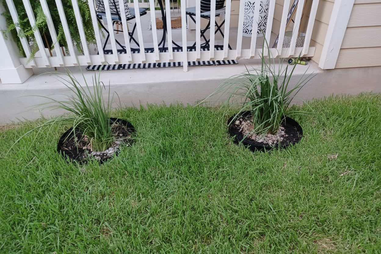 Core Edge black powdercoated prerolled tree rings shown around shrubs. - Henderson garden supply