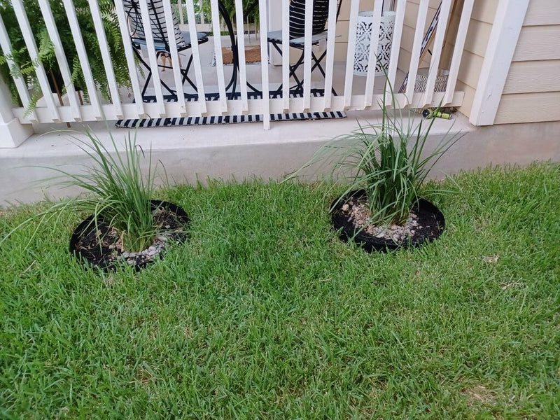 Core Pre-Rolled Steel Garden Tree Rings Black