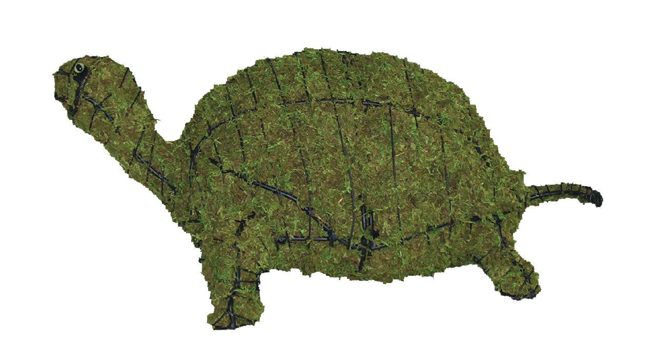 Moss Turtle Topiary Sculpture