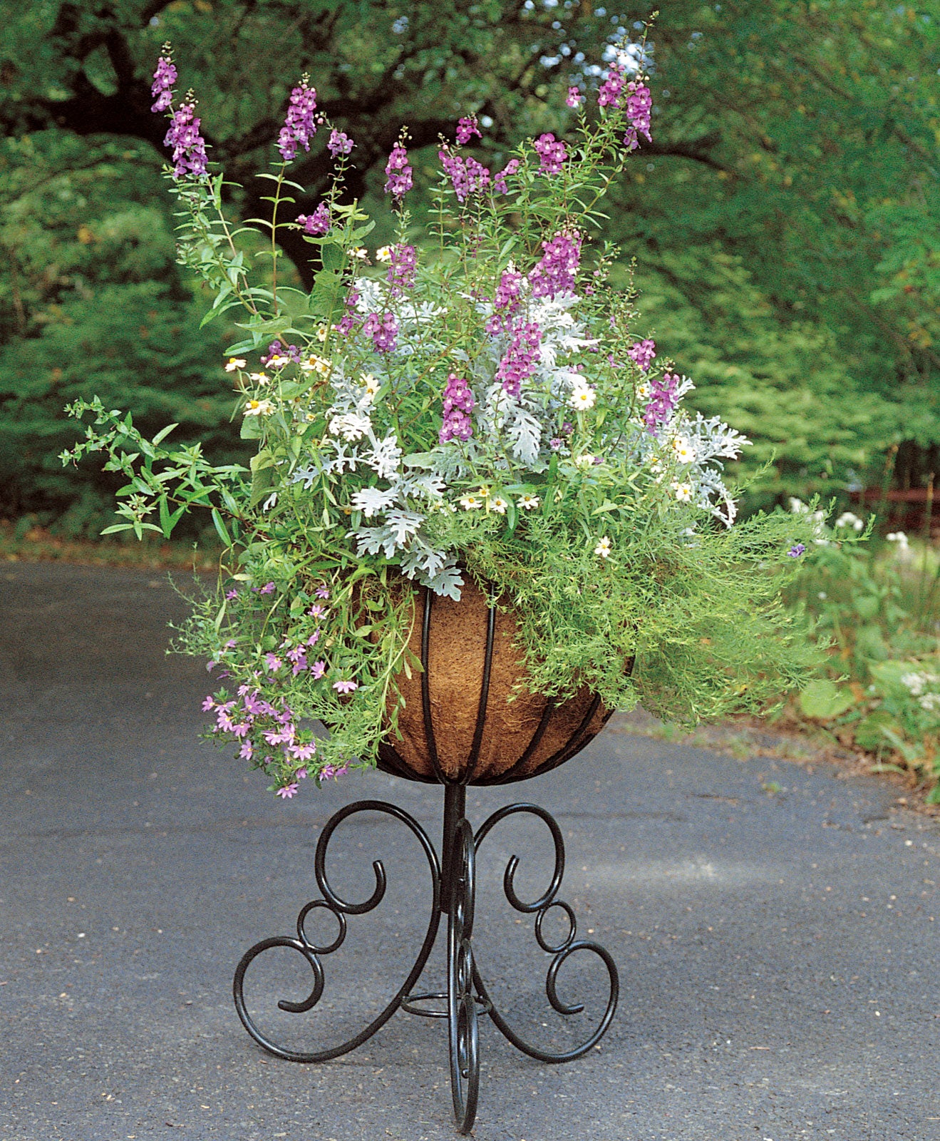 European Classic Urn Planter with Stand and Coco Liner